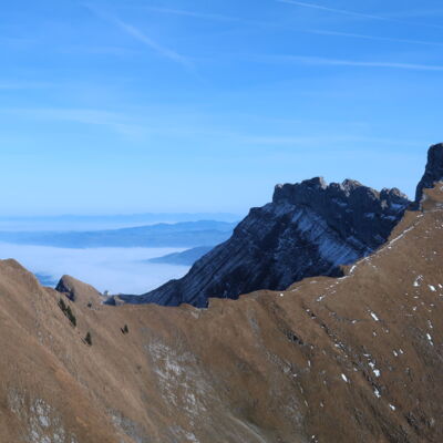 Blick auf den Pilatus und das Tomlishorn. Wer ganz genau schaut, kann die Steinböcke ganz links sehen...