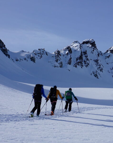 Lawinenkunde 1 Theorie: Tourenplanung Winter, Risiko Management und#40;Ski, Snowbard, Schneeschuheund#41;