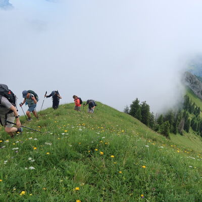 Höher und höher geht es die steilen Fels- und Graspassagen hinauf Richtung Rosegg.
