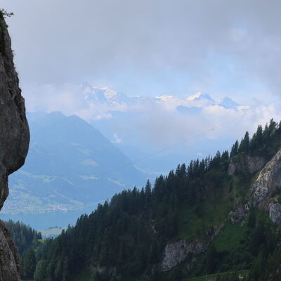 Trotz zeitweisem Nebel zeigen sich die Berner Viertausender.