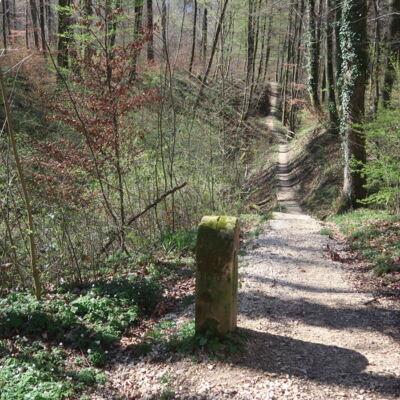 Der Weg führt über das wild romantische Rutschbachtal hinab.
