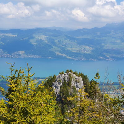 Aussicht vom Mittagshorn auf das Sunnighorn