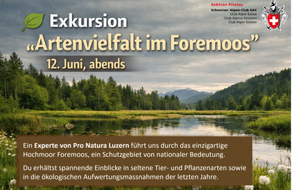 Artenvielfalt im Foremoos