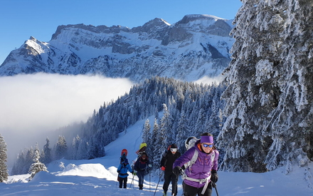 Co-Redaktor:in gesucht