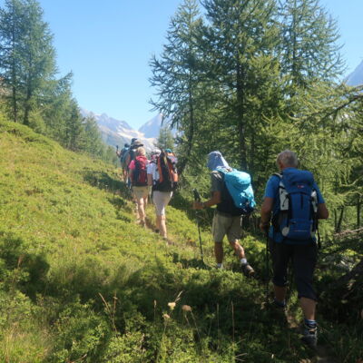 Durch lichte Lärchenwälder und über schmale Pfade geht es dem ganzen Lötschental entlang hinunter zur Fafleralp.
